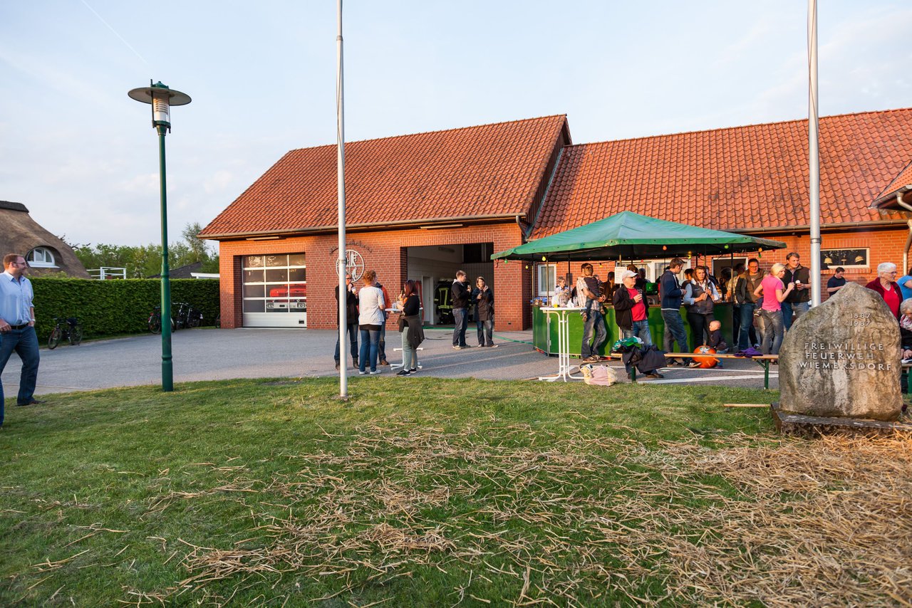 Bild 145 - Wiemersdorfer Maibaum